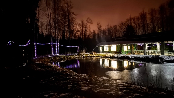 Домик на пруду 